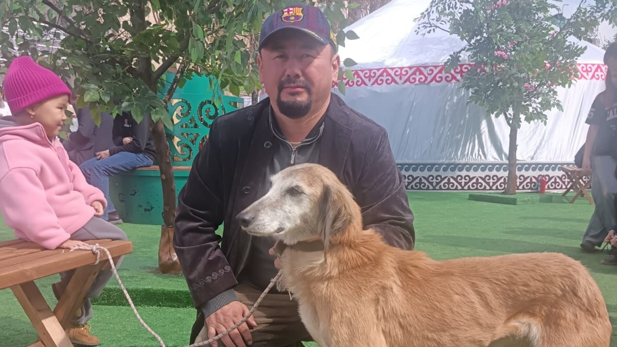 Сокровище Великой степи: как известный заводчик Ернар Муптекеев порадовал алматинцев на Наурыз