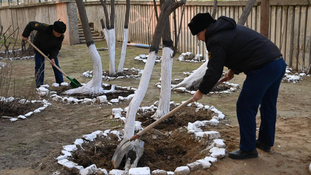 В День очищения военнослужащие провели в гарнизонах экологические акции