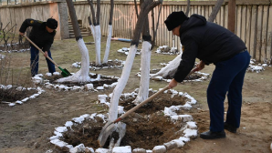 В День очищения военнослужащие провели в гарнизонах экологические акции