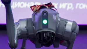 Робот-кокпар и доставка баурсаков дронами: как цифровой Наурыз удивил казахстанцев