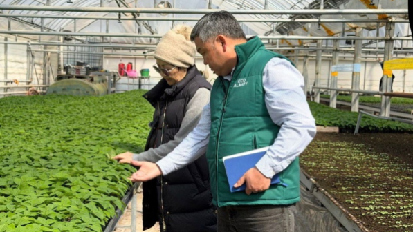 В Алматы цветы украсят более 380 тыс. кв. метров городских территорий