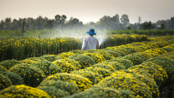 В Туркестанской области обсудили подготовку к вегетационному периоду