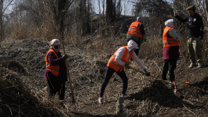 «7 OZEN»: в Жетісу очищены берега реки Коксу