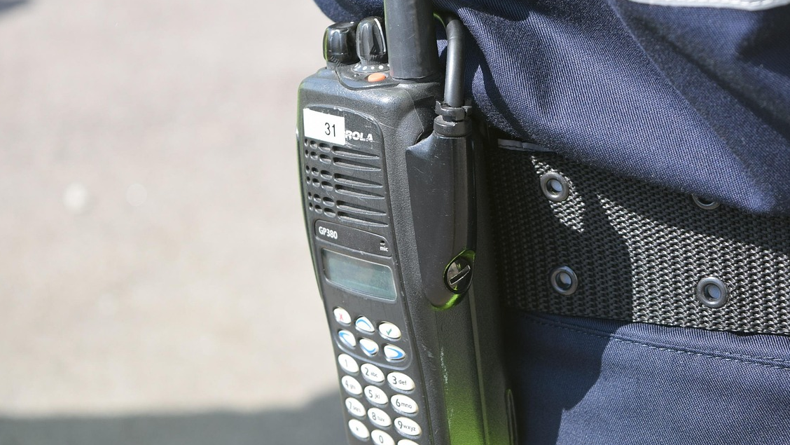 В Жамбылской области пресечен вывоз 160 тонн золотоносной руды на 1 млрд тенге