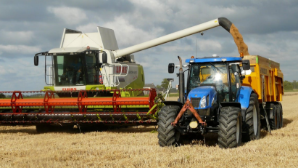 Посевная площадь в области Жетысу превысит 511 тысяч га