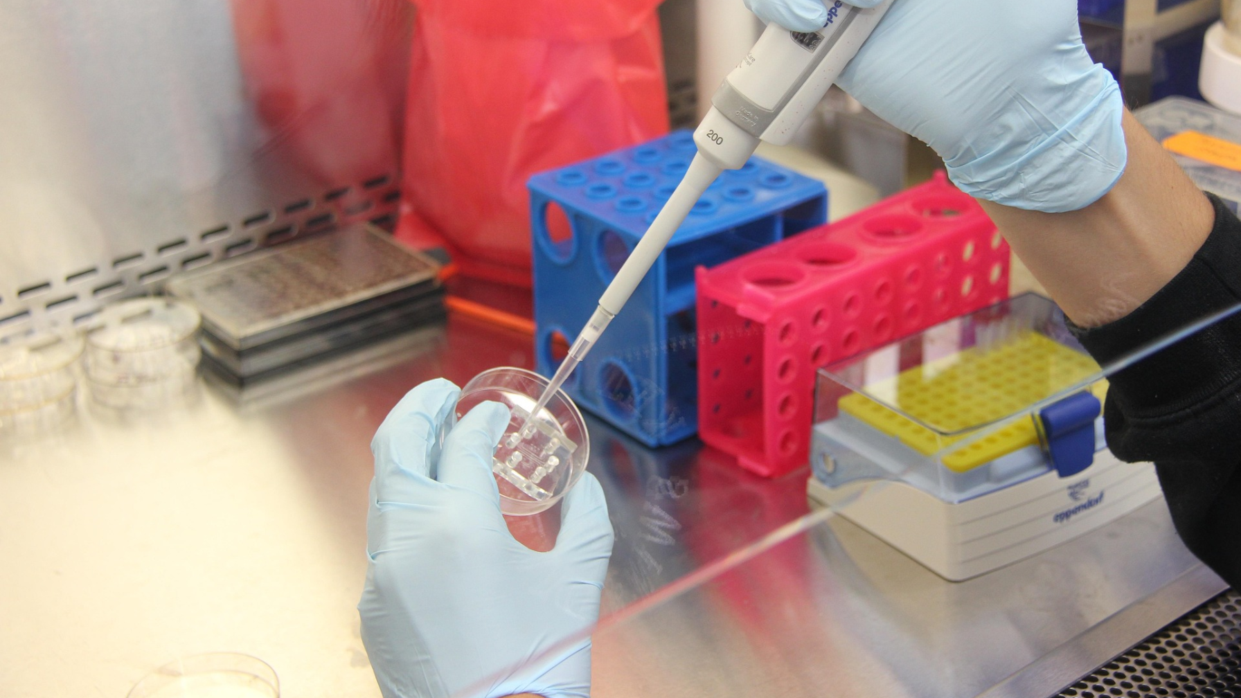 В Казахстане запущено 303 научные лаборатории