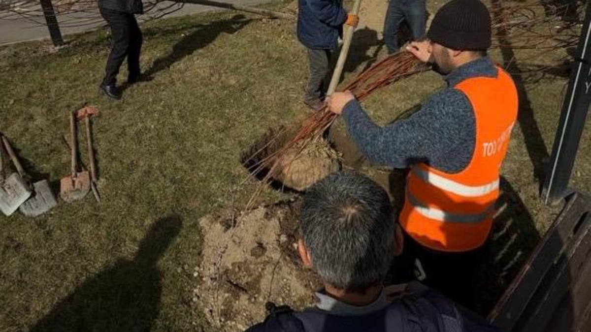 В Алмалинском районе Алматы усиливают уборку, озеленение и участие жителей в развитии города