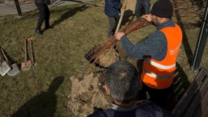 В Алмалинском районе Алматы усиливают уборку, озеленение и участие жителей в развитии города