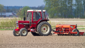 В области Жетысу стартовал сев сахарной свеклы