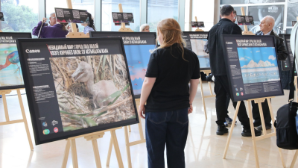 Уникальная фотовыставка: алматинцы могут увидеть редких представителей животного мира Казахстана