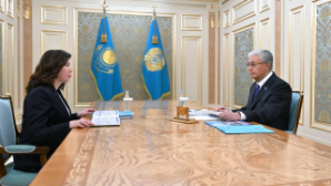 Глава государства принял министра просвещения Жулдыз Сулейменову