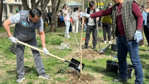 В Ауэзовском районе прошел масштабный и по-настоящему объединяющий субботник