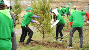 «Таза Қазақстан»: в Алматы в 2026 году высадят более 550 тыс. зеленых насаждений