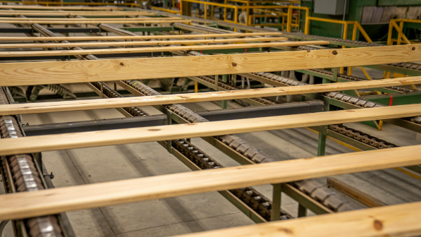 Правительство одобрило инвестпроект по строительству деревообрабатывающего завода в СКО 