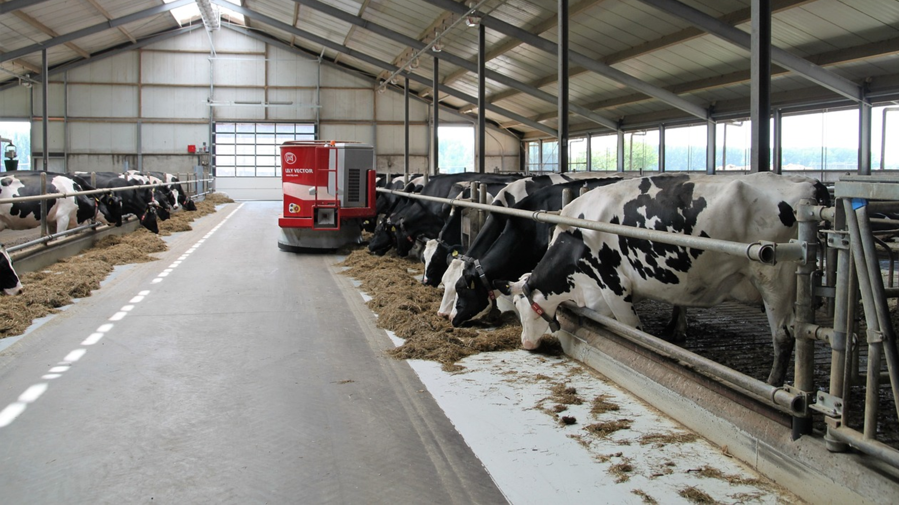 В Акмолинской области создают мясной кластер с экспортом до 7 тыс. тонн