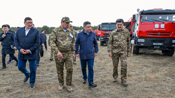 В Казахстане внедряют ИИ для раннего выявления лесных пожаров