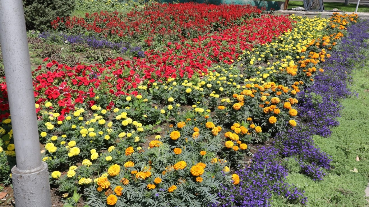 35 проектов по благоустройству и 38 новых дворов: что изменится в Наурызбайском районе Алматы