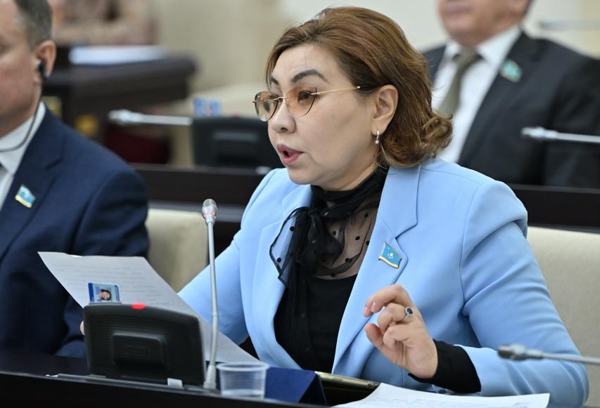 Бибигуль Жексенбай предложила усилить защиту прав граждан, работающих в сфере доставки и такси