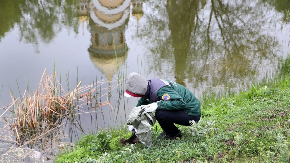 В Алматы на 15 участках города проведены масштабные работы по очистке территорий