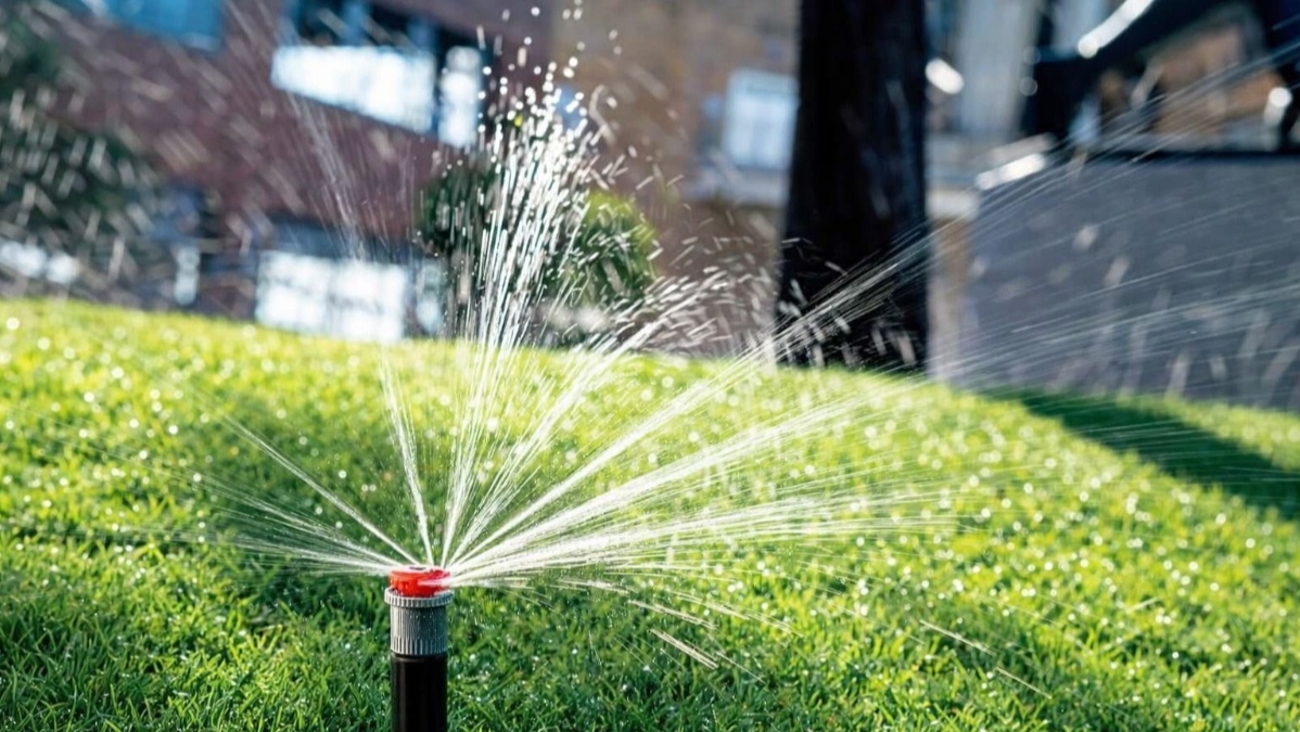 В Медеуском районе Алматы увеличивают объемы озеленения и развивают систему автополива