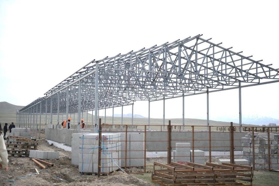 В Алматинской области построят завод по переработке шерсти 